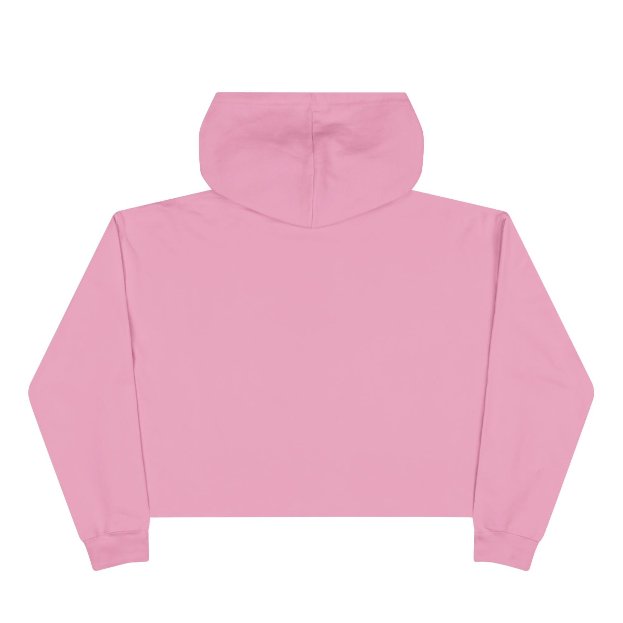 LVVRS Logo Cropped Hoodie